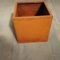 Cubic Plants Container