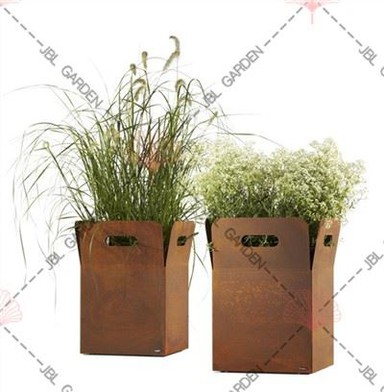 30 tums blomkruka